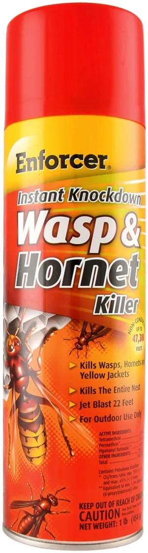 Instant Knockdown Wasp & Hornet Killer, 16 oz